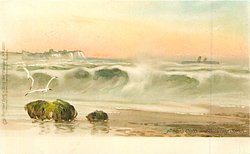 ALBION'S CLIFFS AND GLITTERING SANDS