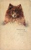 Image 5 - POMERANIAN (TOY)