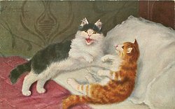 two cats on bed with heads towards pillow, one ginger & white, one black & white