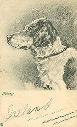 POINTER