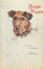Image 6 - IRISH TERRIER