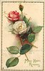 Image 3 - one white & one red rose, one bud