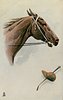 Image 1 - head of brown race horse looking right, jockey hat and crop below