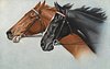 Image 1 - brown with blue/white browband, black with red/white browband,looking left