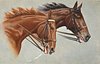Image 1 - one light, one dark brown, both with double bridles, looking to right