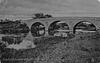 Image 3 - CANFORD BRIDGE NEAR WIMBORNE