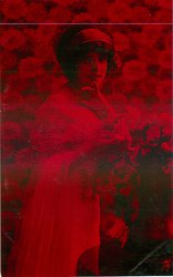 glamorous lady in dress with lace top & filmy shawl over her arm, bunch of roses in copper vase, looks at camera but body turned to right, right hand touches flowers, left hand under chin