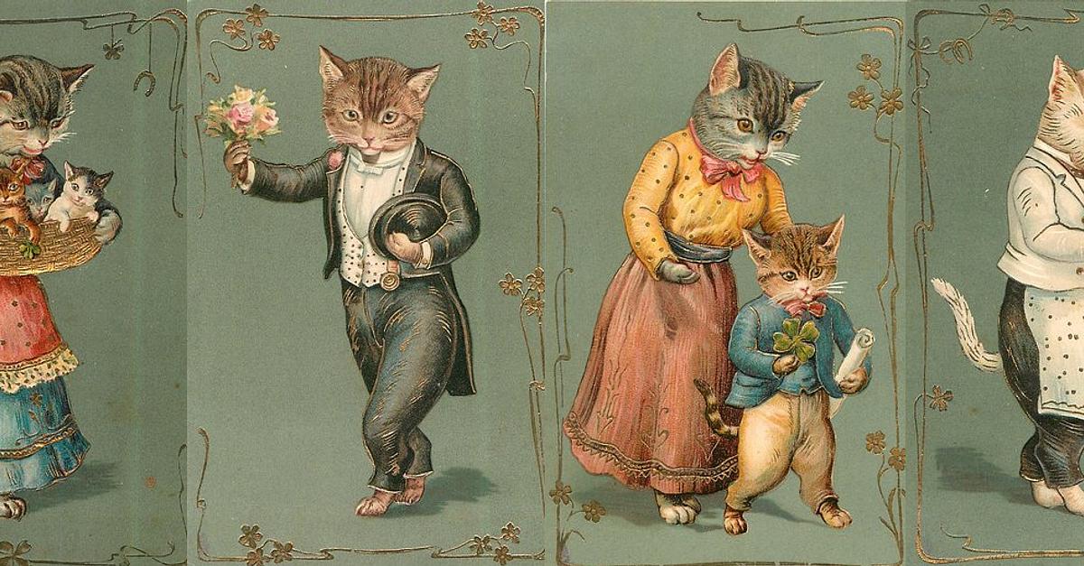 set-chats-1904-list-personised-cats-579-tuckdb-postcards