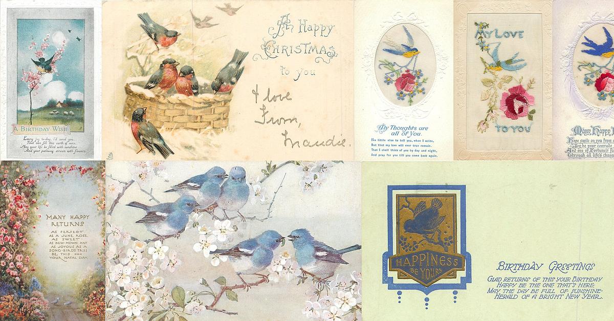Tag: Bluebirds - TuckDB Postcards